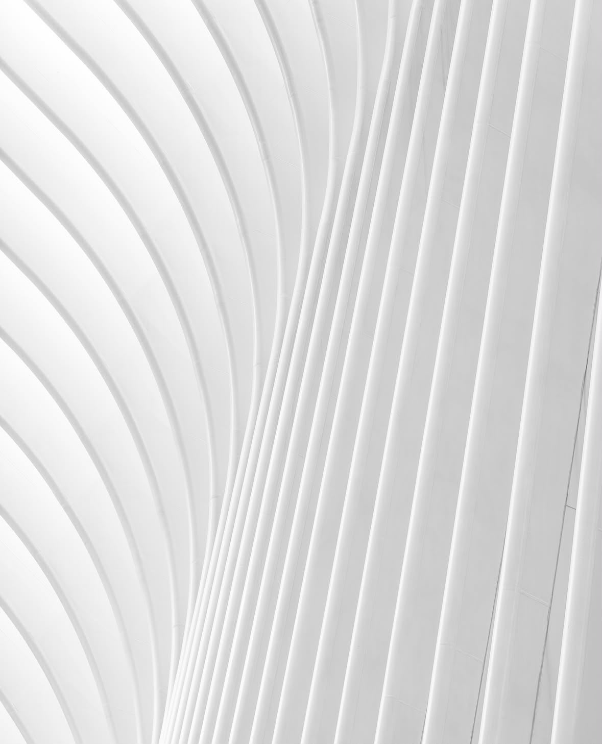 Linhas brancas de uma estrutura arquitetônica em perspectiva